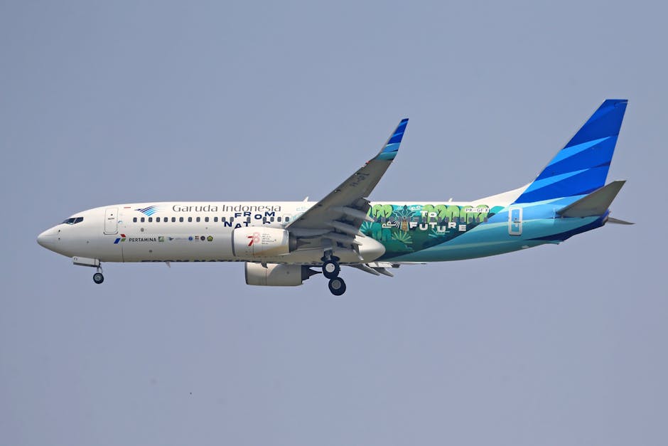 The Future of Regional Airlines Explored